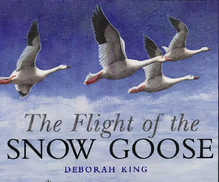 Flight of the Snow Goose (Collins Picture Lions)