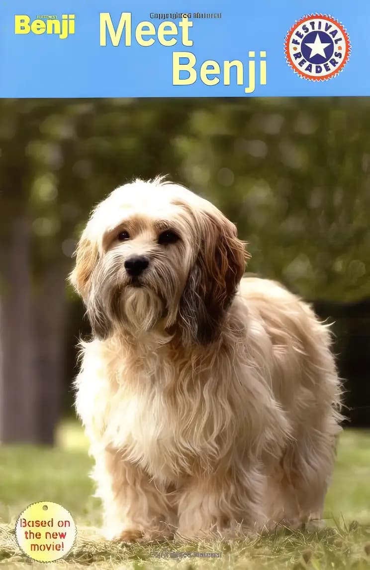 Book cover of 'Benji: Meet Benji (Festival Readers)'