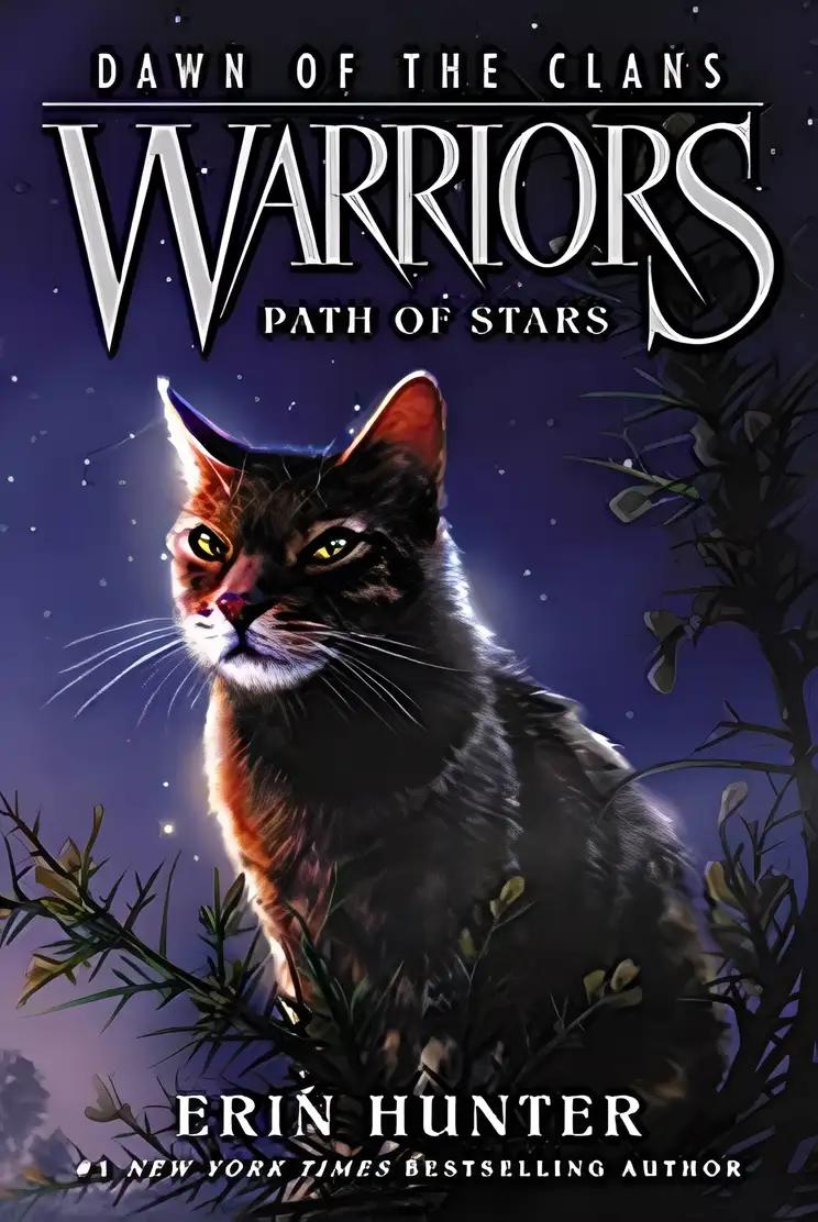 Path of Stars