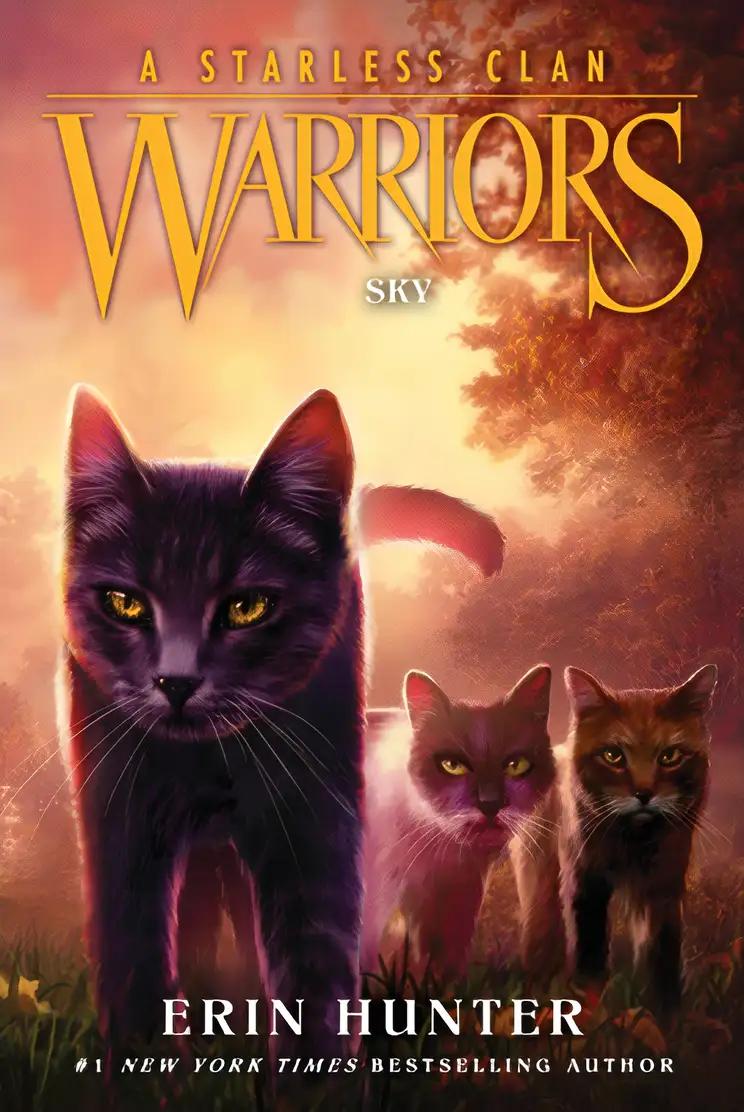 Warriors: A Starless Clan #2: Sky