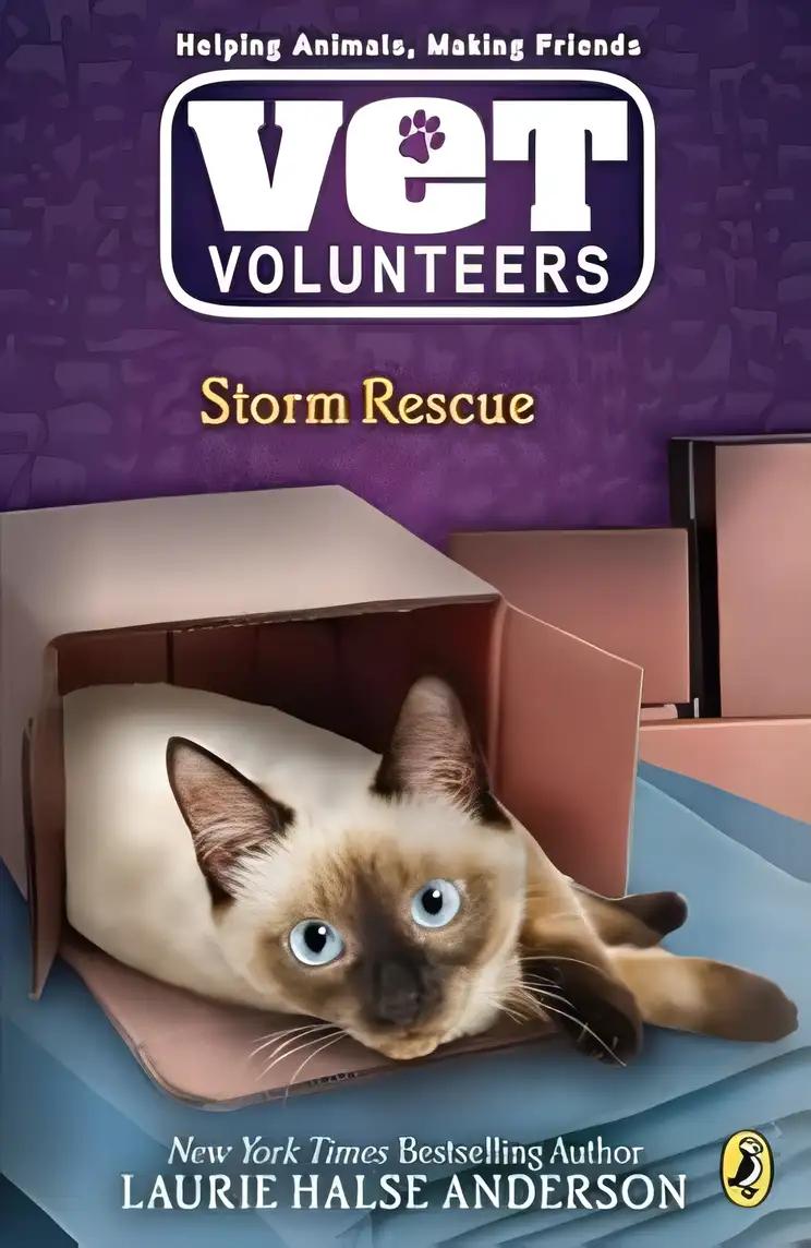 Storm Rescue