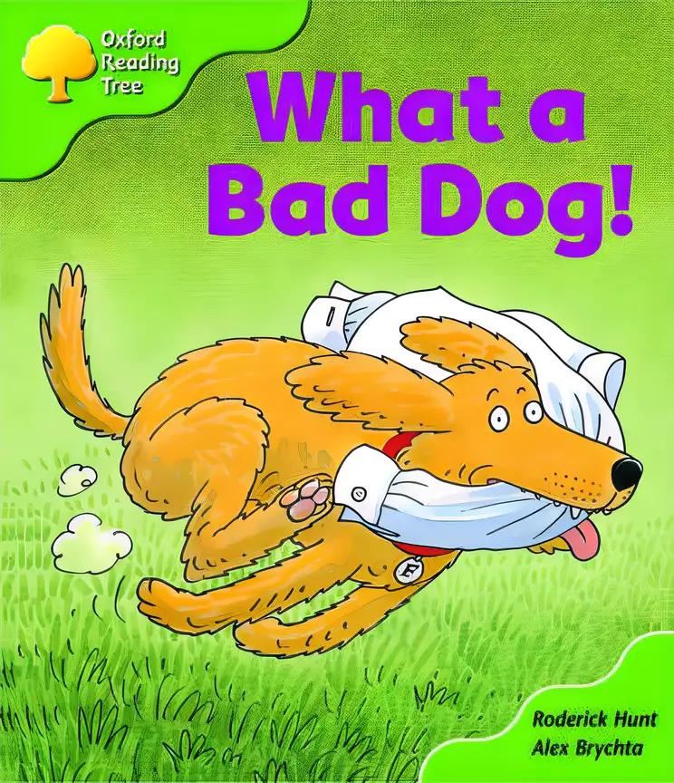 Oxford Reading Tree: Level 2: Stories: What a Bad Dog!