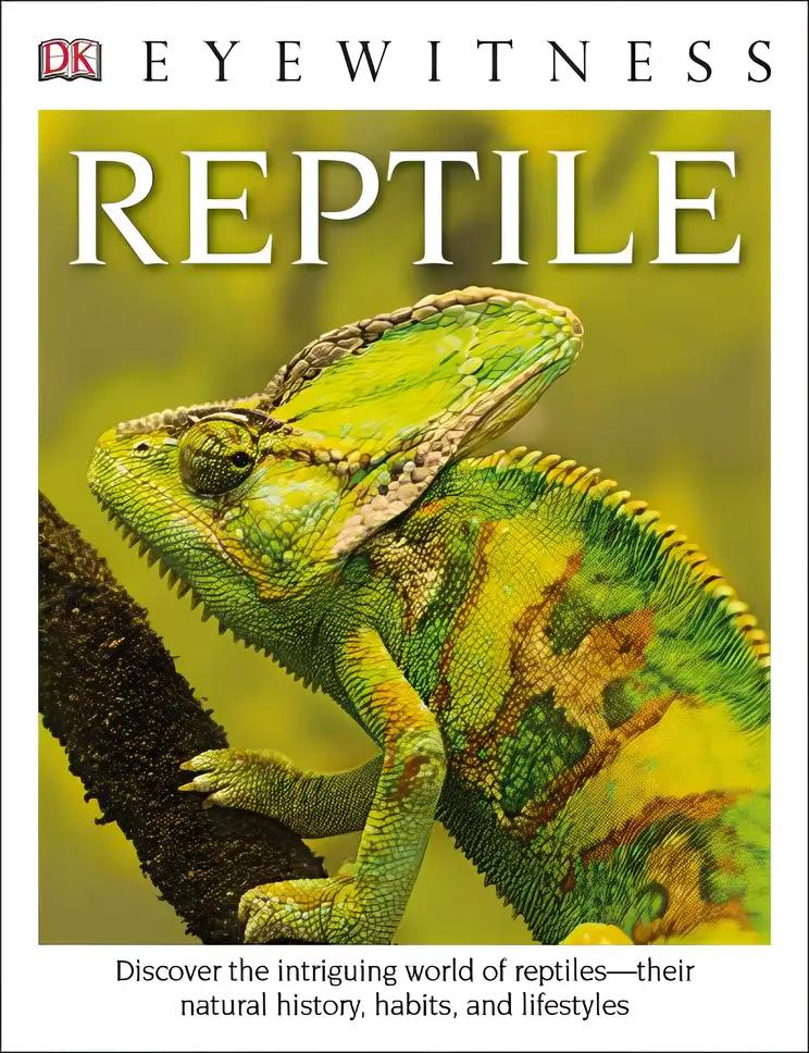 Reptile