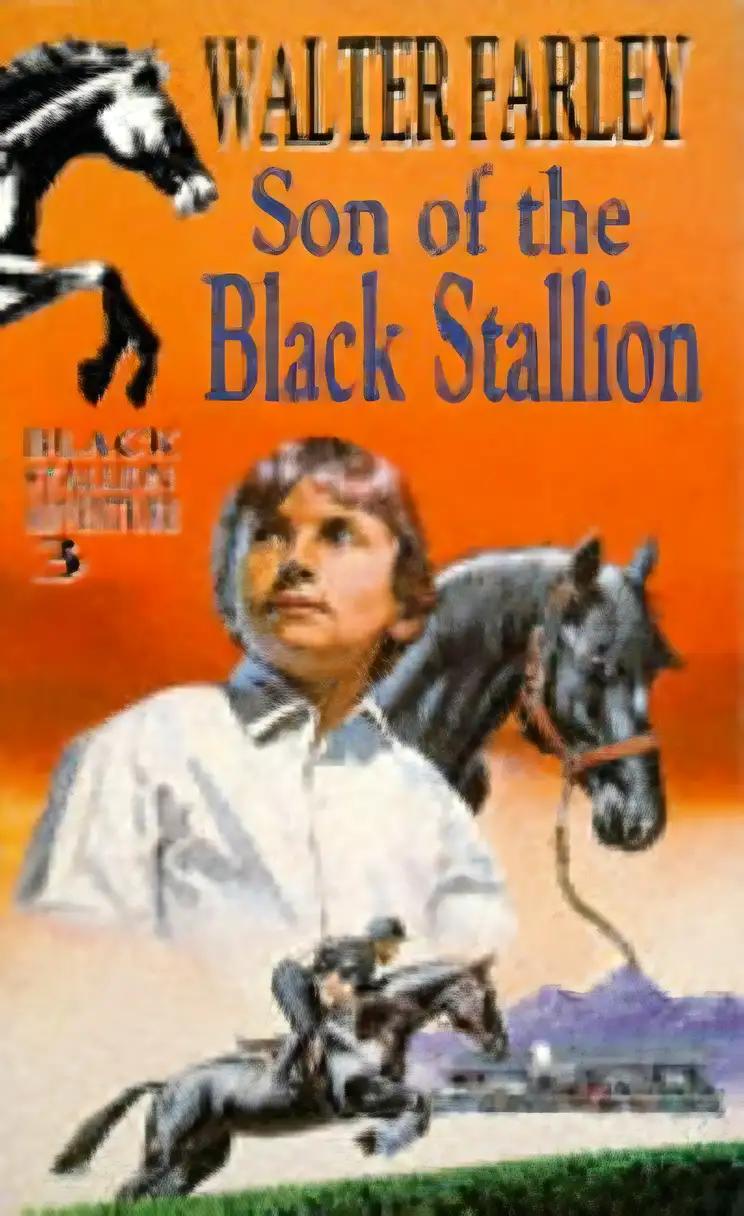 Son of the Black Stallion