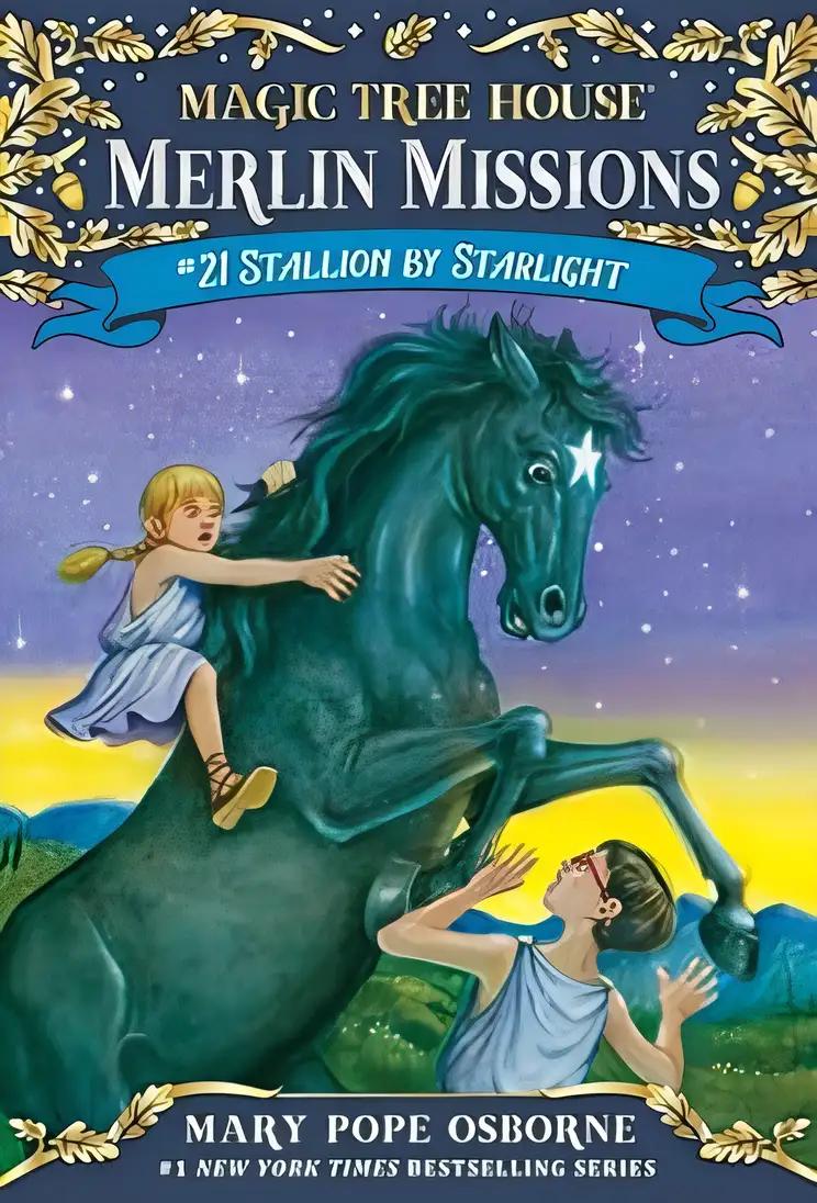 Stallion by Starlight