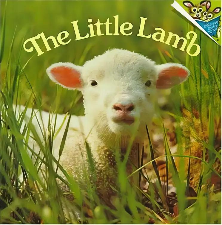 The Little Lamb (Pictureback(R))