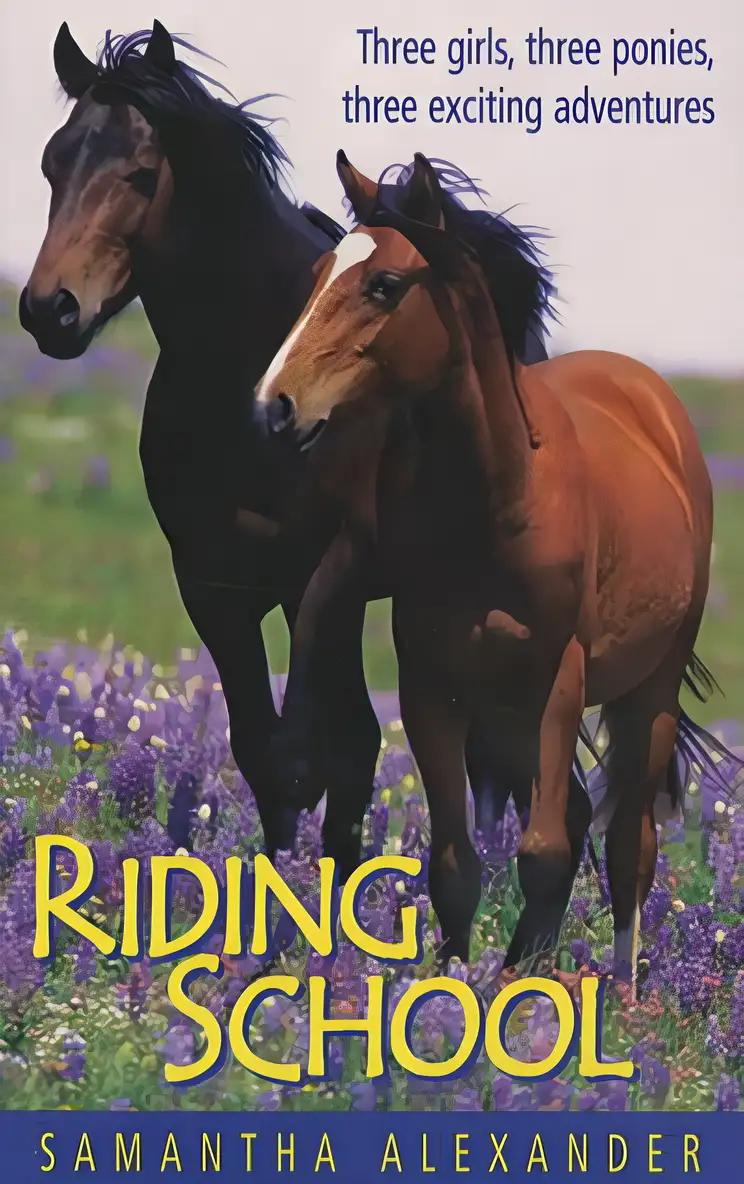 Riding School : Three Girls, Three Ponies, Three Exciting Adventures