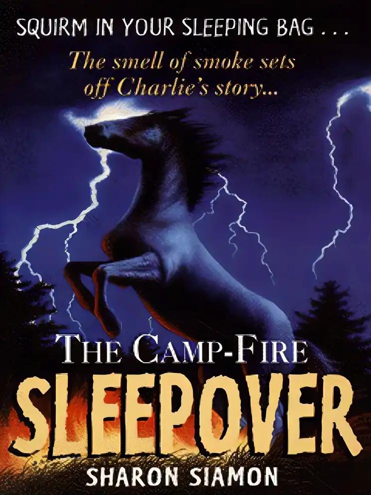 Camp Fire Sleepover 4