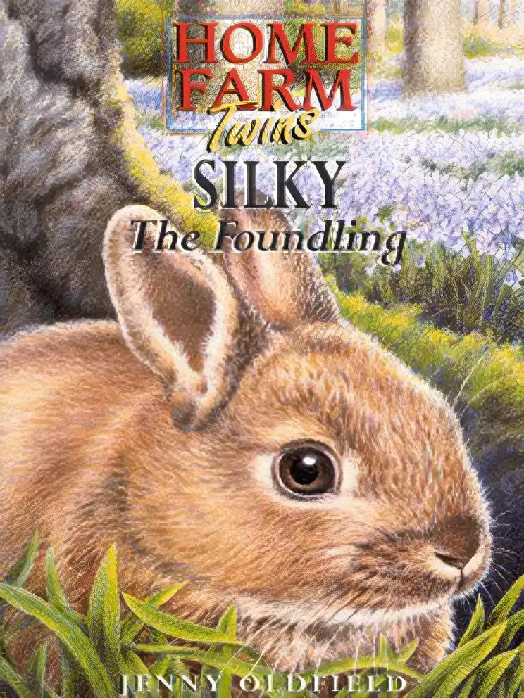 Silky the Foundling (Home Farm Twins)