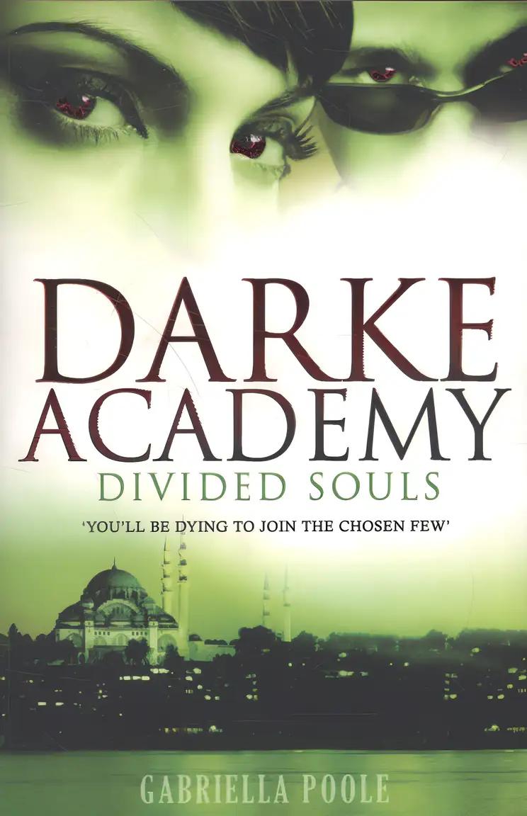 Divided Souls (Darke Academy)