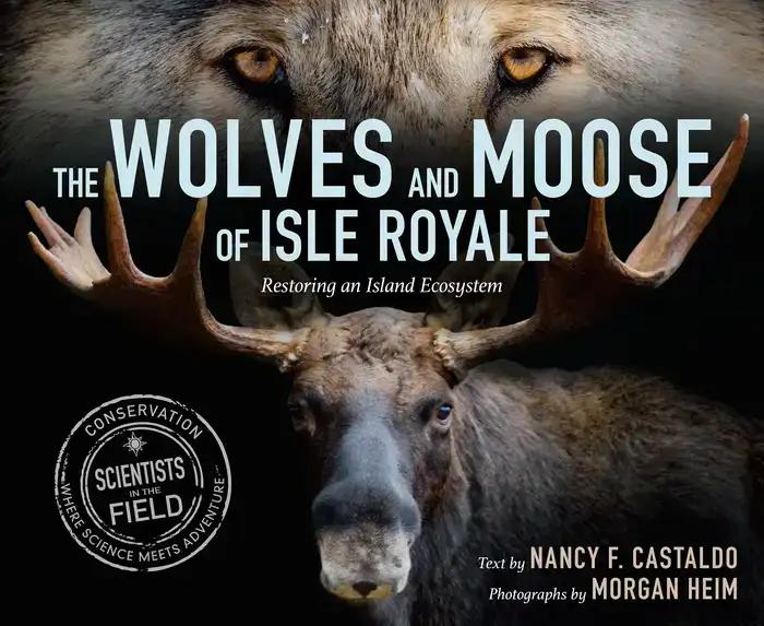 The Wolves and Moose of Isle Royale