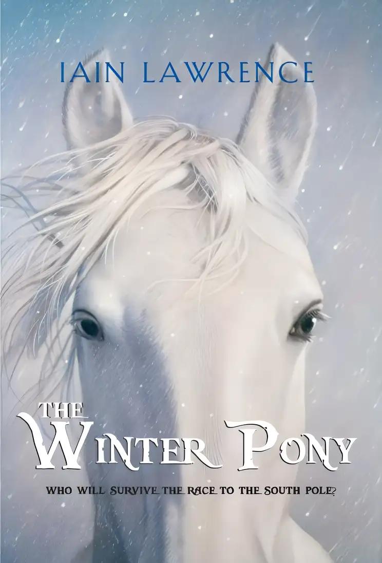 The Winter Pony