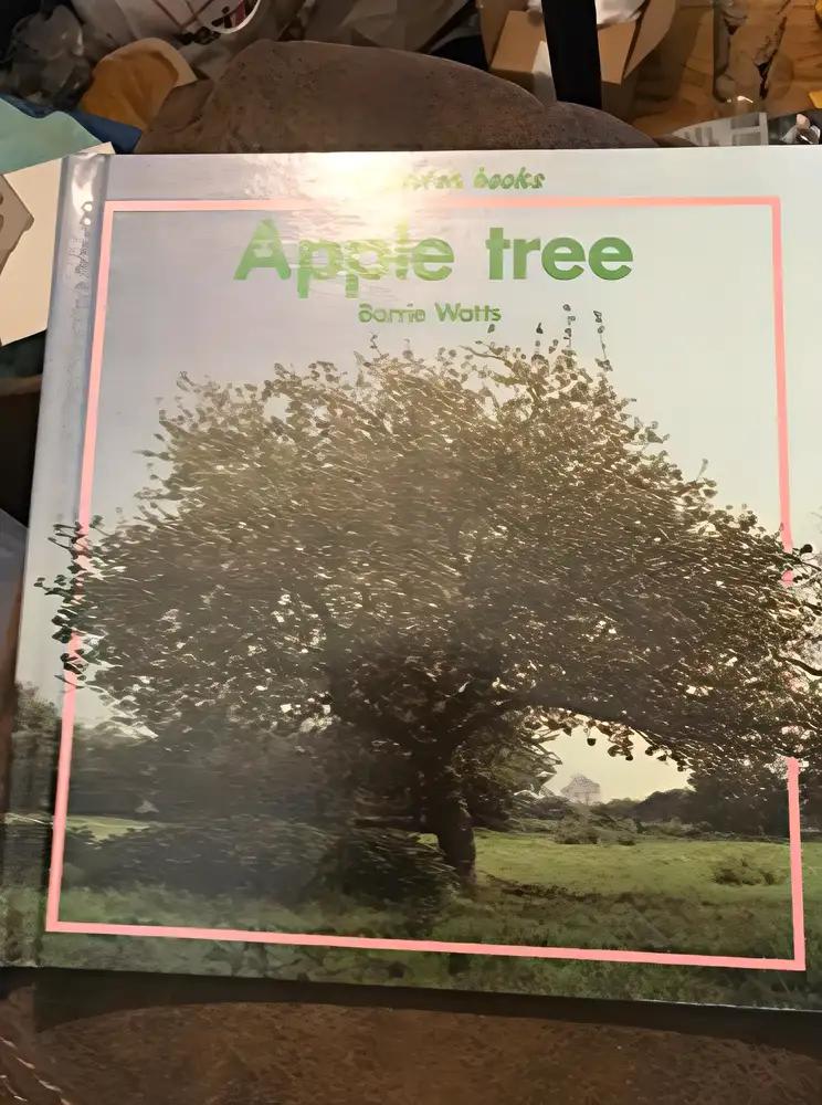 Apple Tree