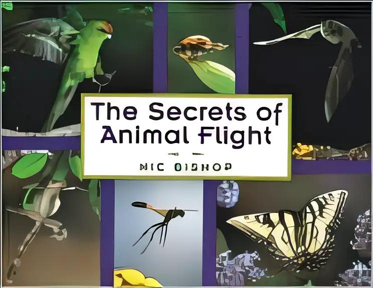 The Secrets of Animal Flight