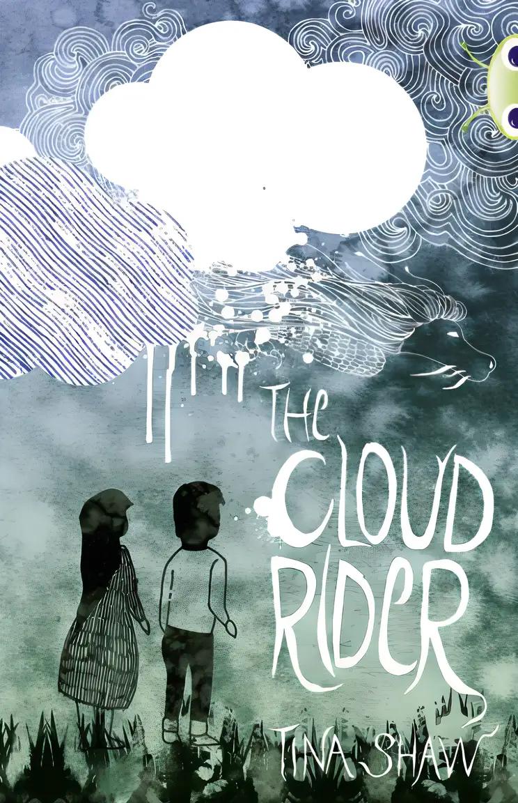 Bug Club Independent Fiction Year 3 Brown B The Cloud Rider