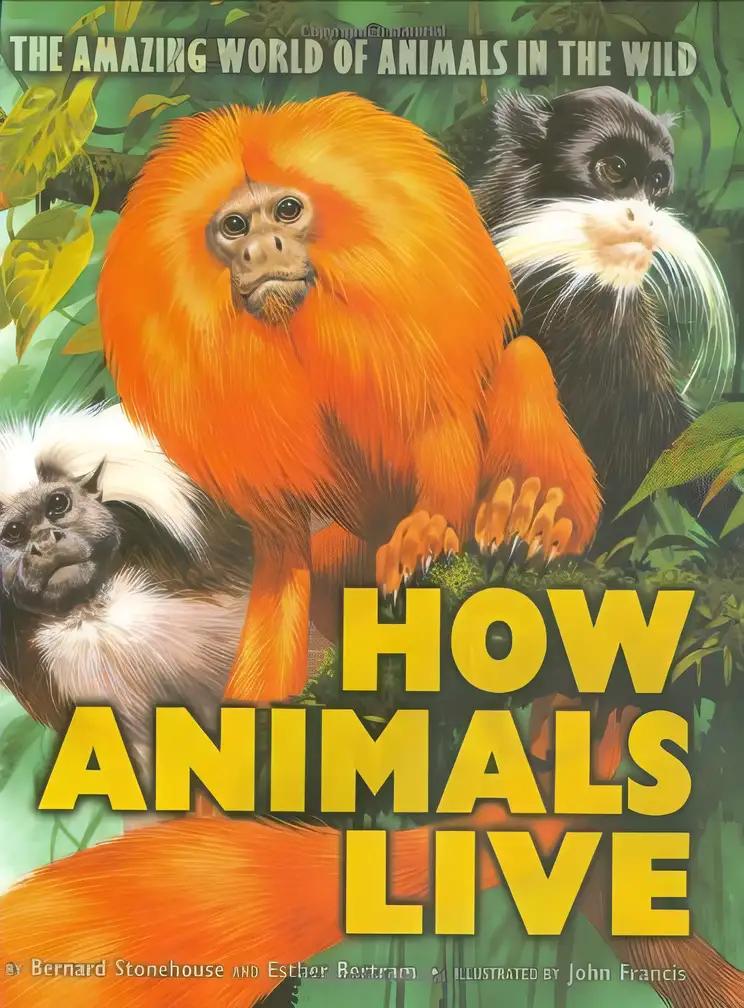 How Animals Live: Amazing World of Animals in the Wild, The