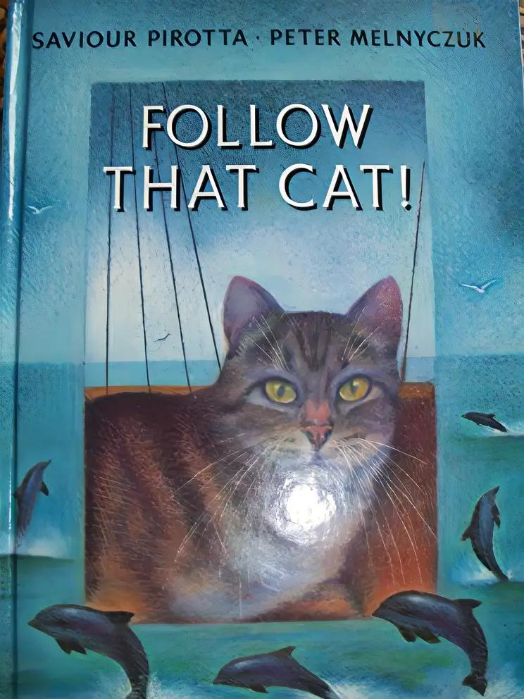 Follow That Cat!