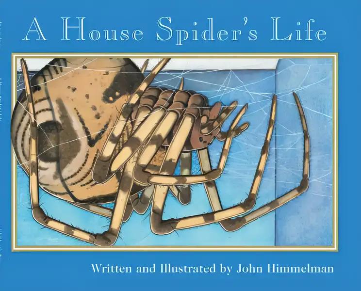 A House Spider's Life (Nature Upclose)