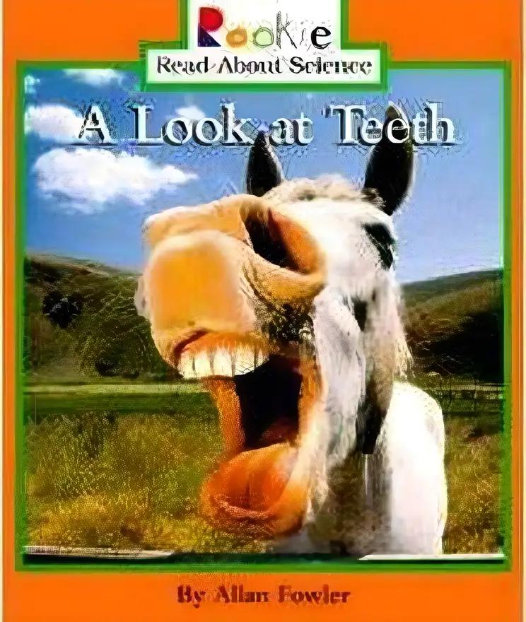 A Look at Teeth (Rookie Read-About Science)