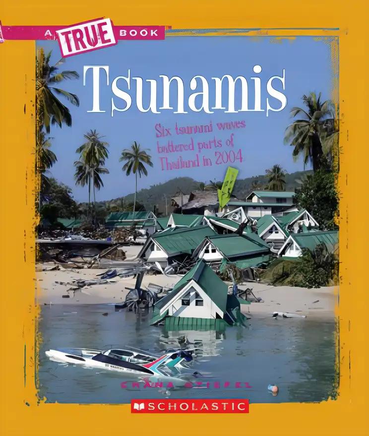 Tsunamis (A True Book: Earth Science) (A True Book (Relaunch))