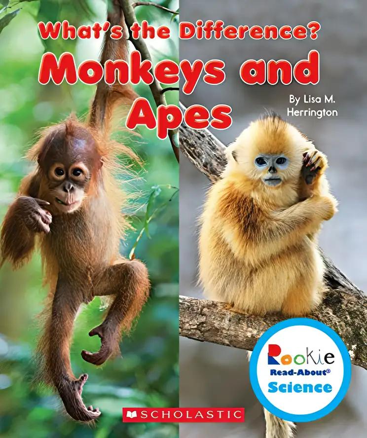 Monkeys and Apes (Rookie Read-About Science: What's the Difference?)