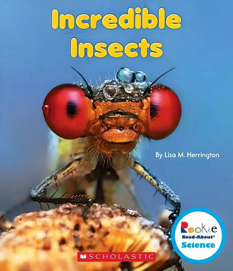 Incredible Insects (Rookie Read-About Science: Strange Animals) (Library Edition)