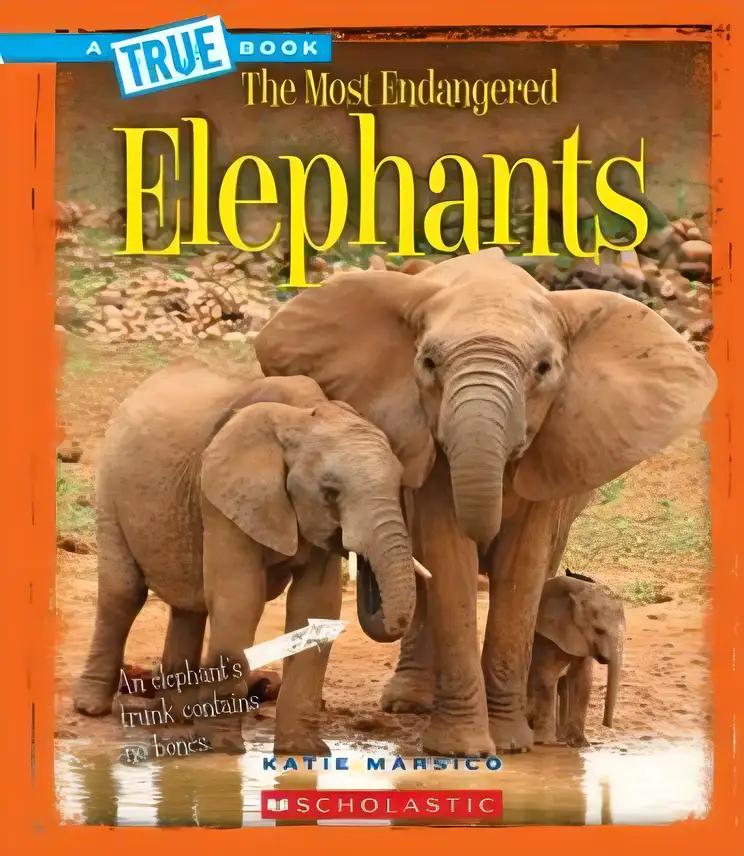 Elephants Have Trunks (Tell Me Why Library)