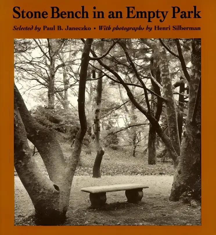 Stone Bench In An Empty Park