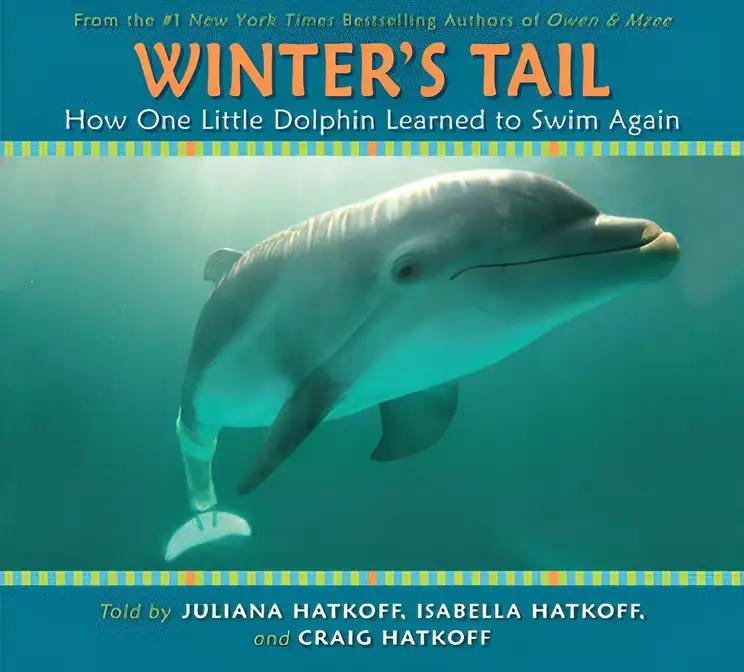 Winter's Tail: How One Little Dolphin Learned to Swim Again