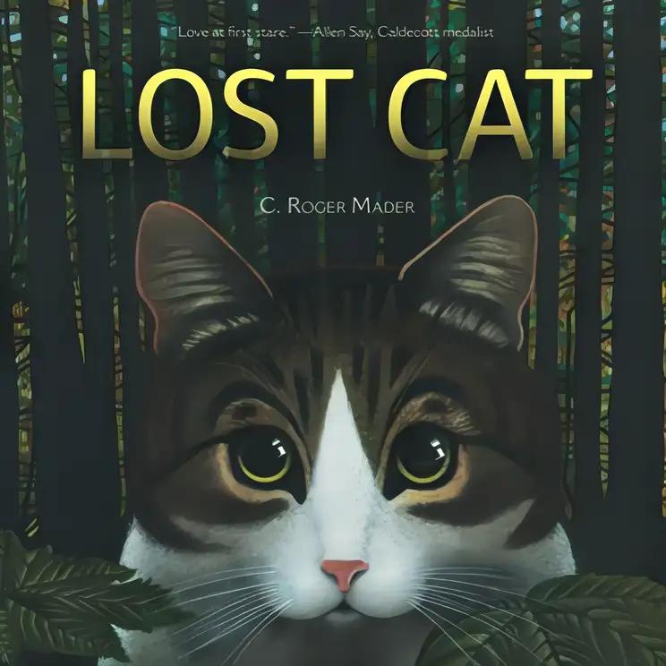 Lost Cat