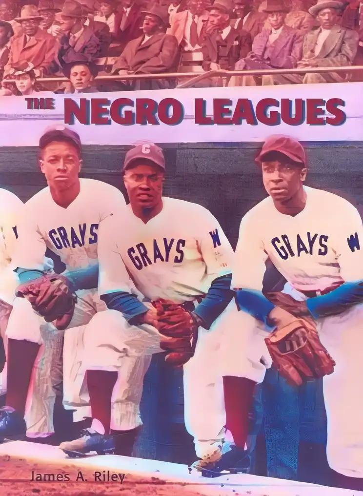 The Negro Leagues (African-American Achievers)