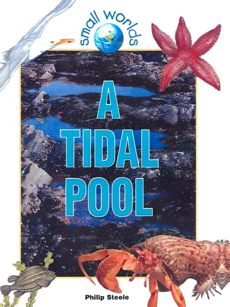 A Tidal Pool (Small Worlds)