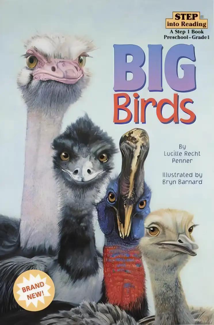 Big Birds