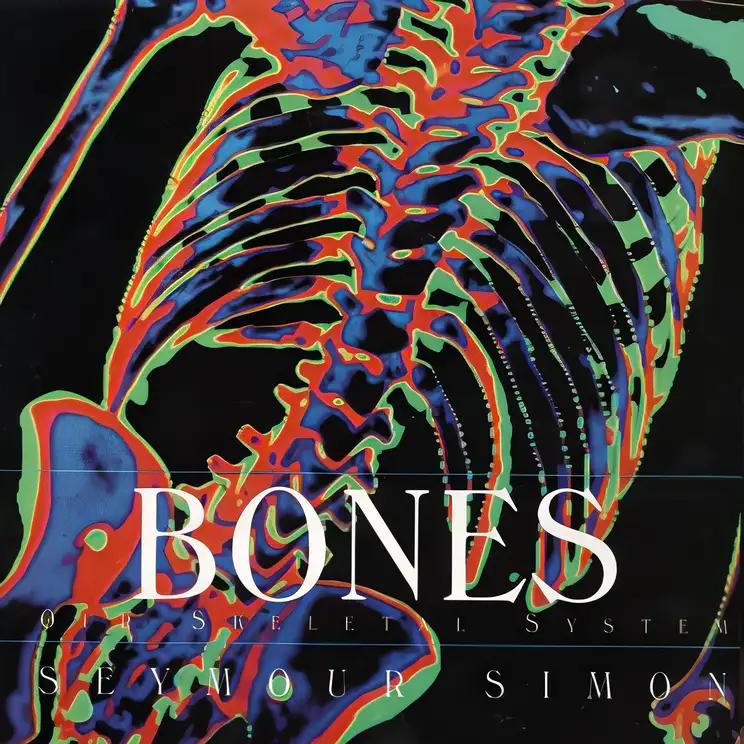 Bones: Our Skeletal System