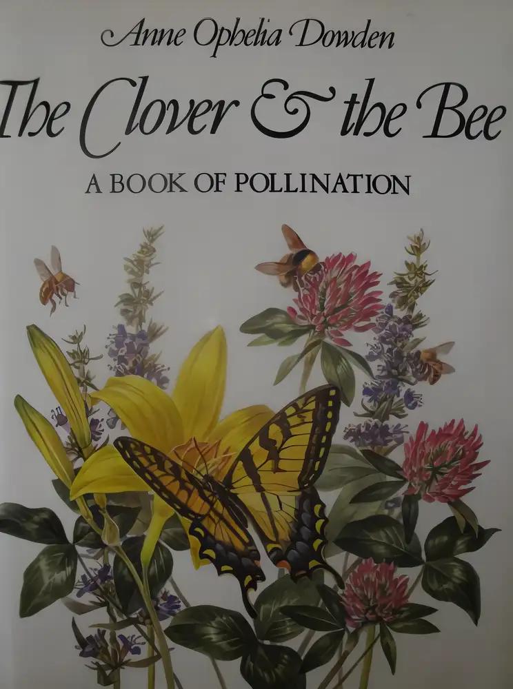 The Clover & the Bee; A Book of Pollination