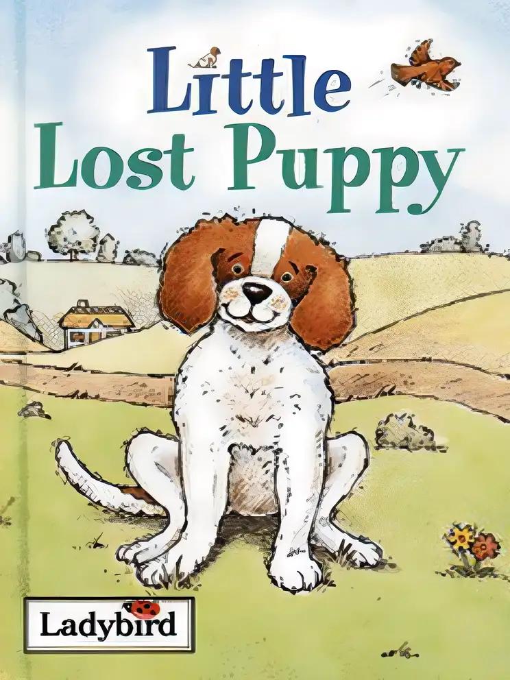 Little Lost Puppy (Little Stories)