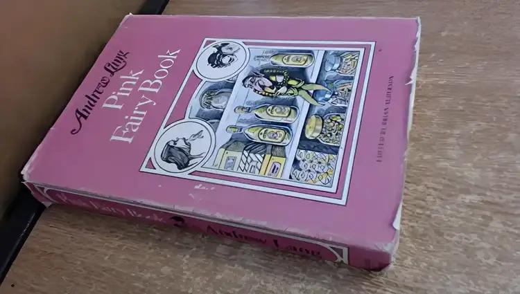 The Pink Fairy Book