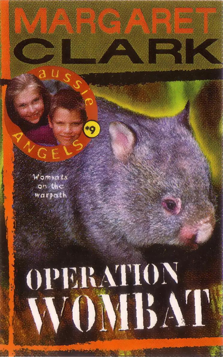 Aussie Angels 9: Operation Wombat