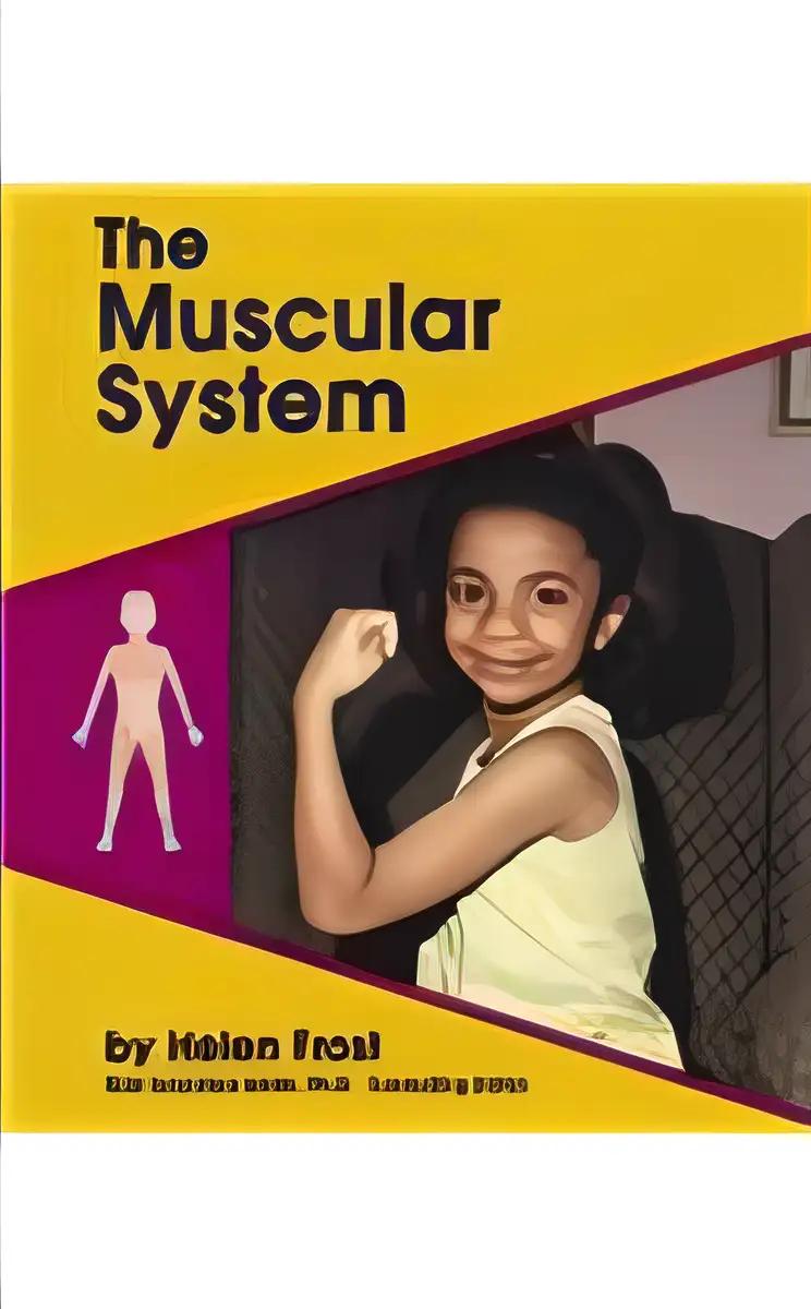 The Muscular System