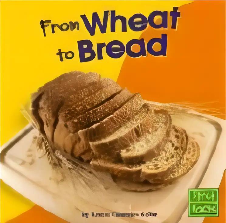 From Wheat to Bread (From Farm to Table)