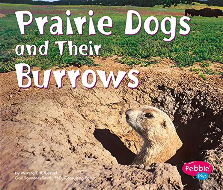 Prairie Dogs and Their Burrows