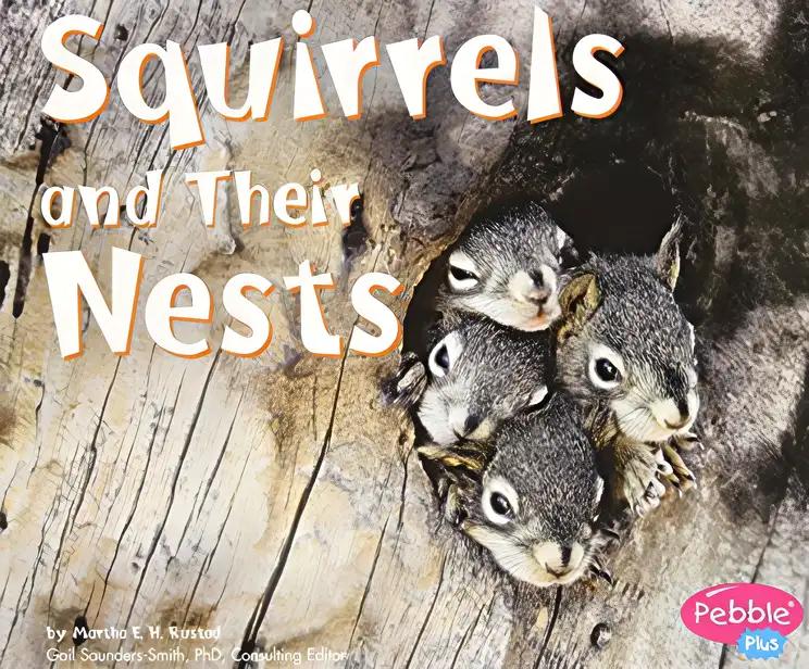 Squirrels and Their Nests