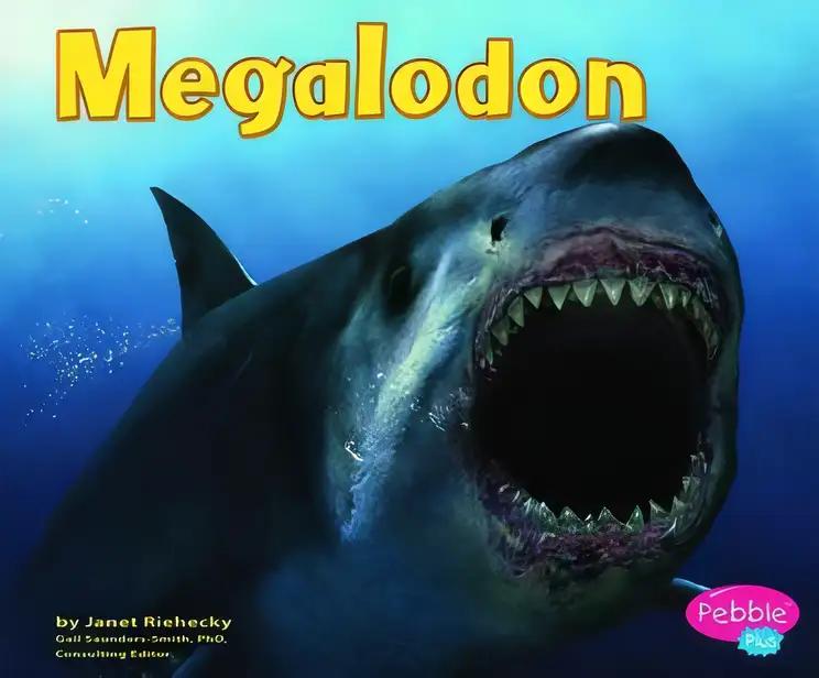 Megalodon