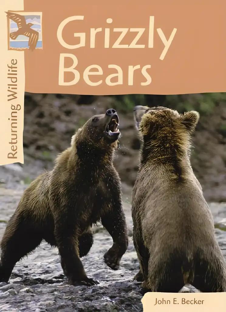 Grizzly Bears