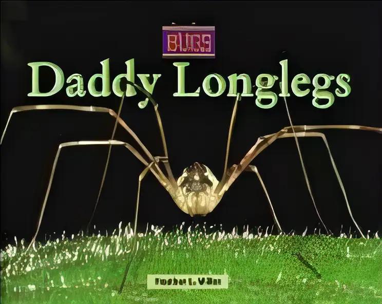 Daddy Longlegs (Bugs!)