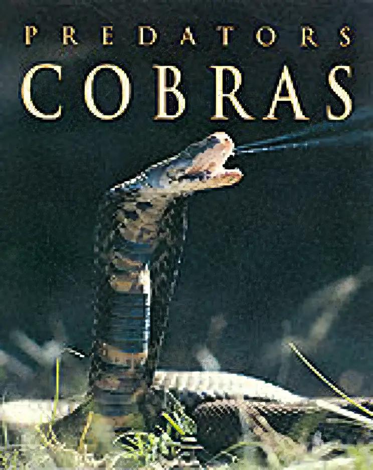 Cobras