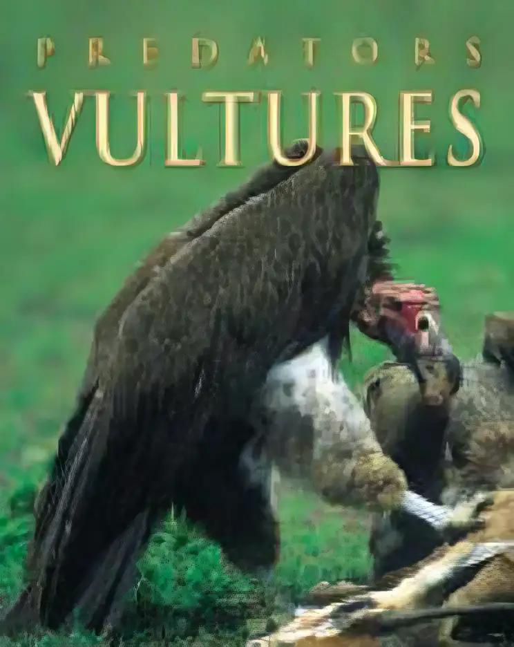 Vultures