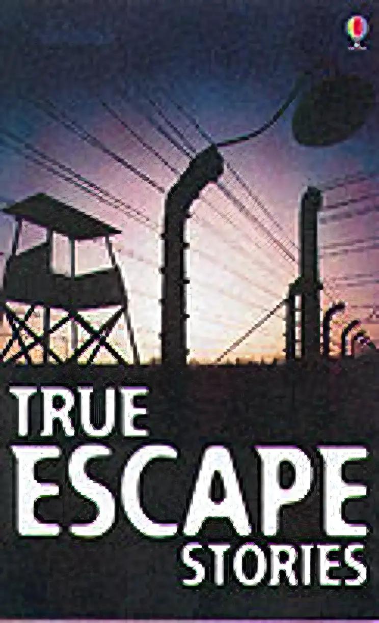 True Escape Stories (Usborne Paperbacks)