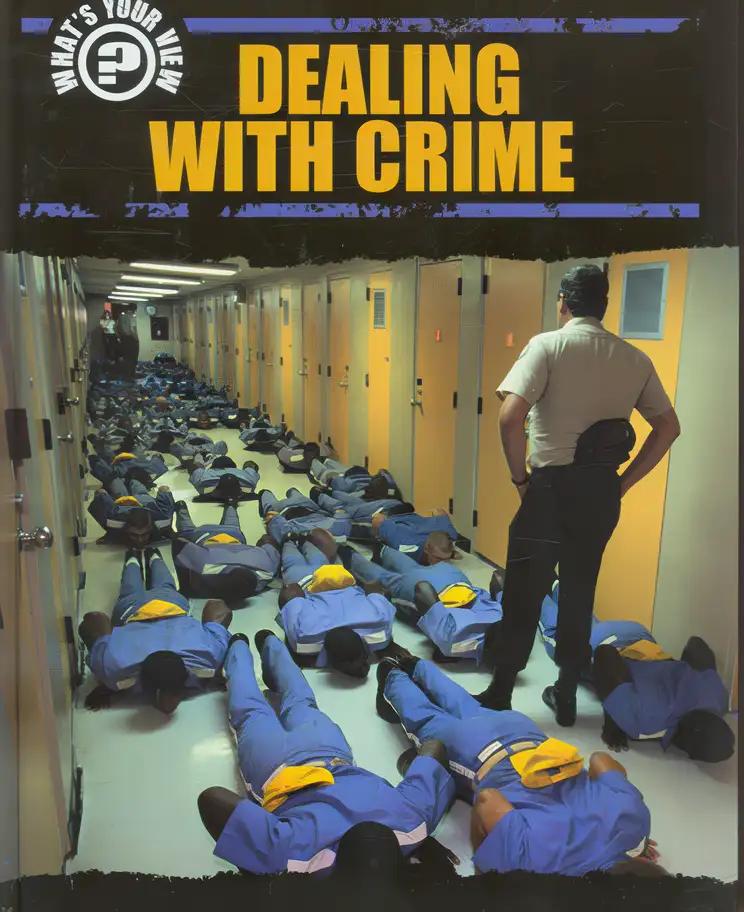 Dealing With Crime