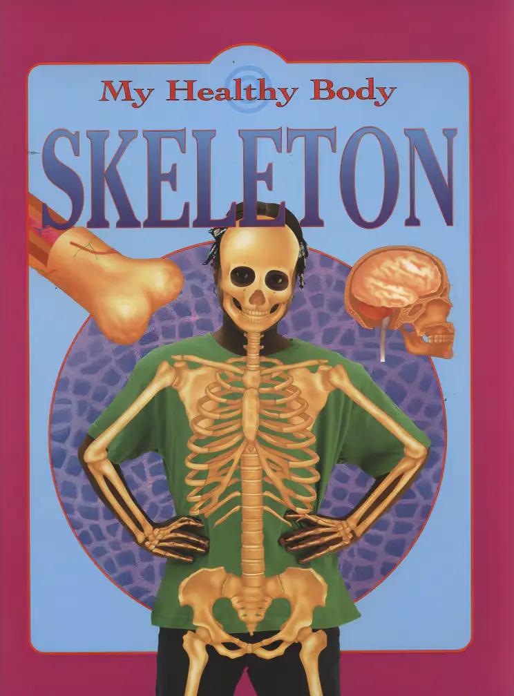 Skeleton